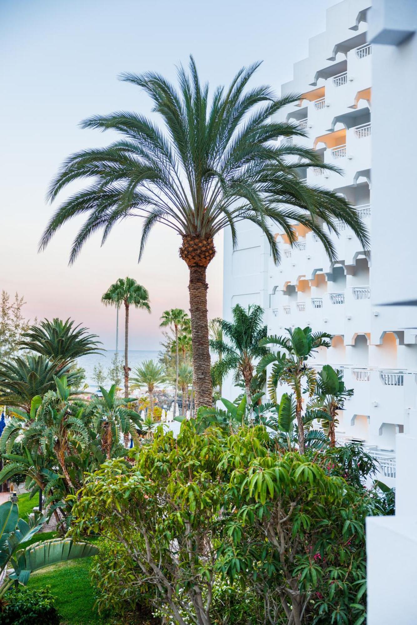 Hapimag San Agustin Aparthotel Bagian luar foto
